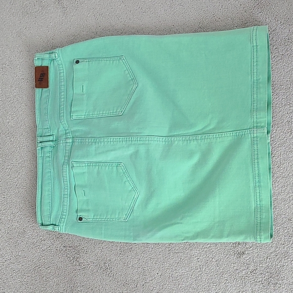 Anthropologie Green Denim Skirt - Picture 2 of 5
